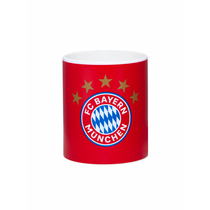 28728 (character Home) Bayern Home series 5 star logo red water cup gift fan gift