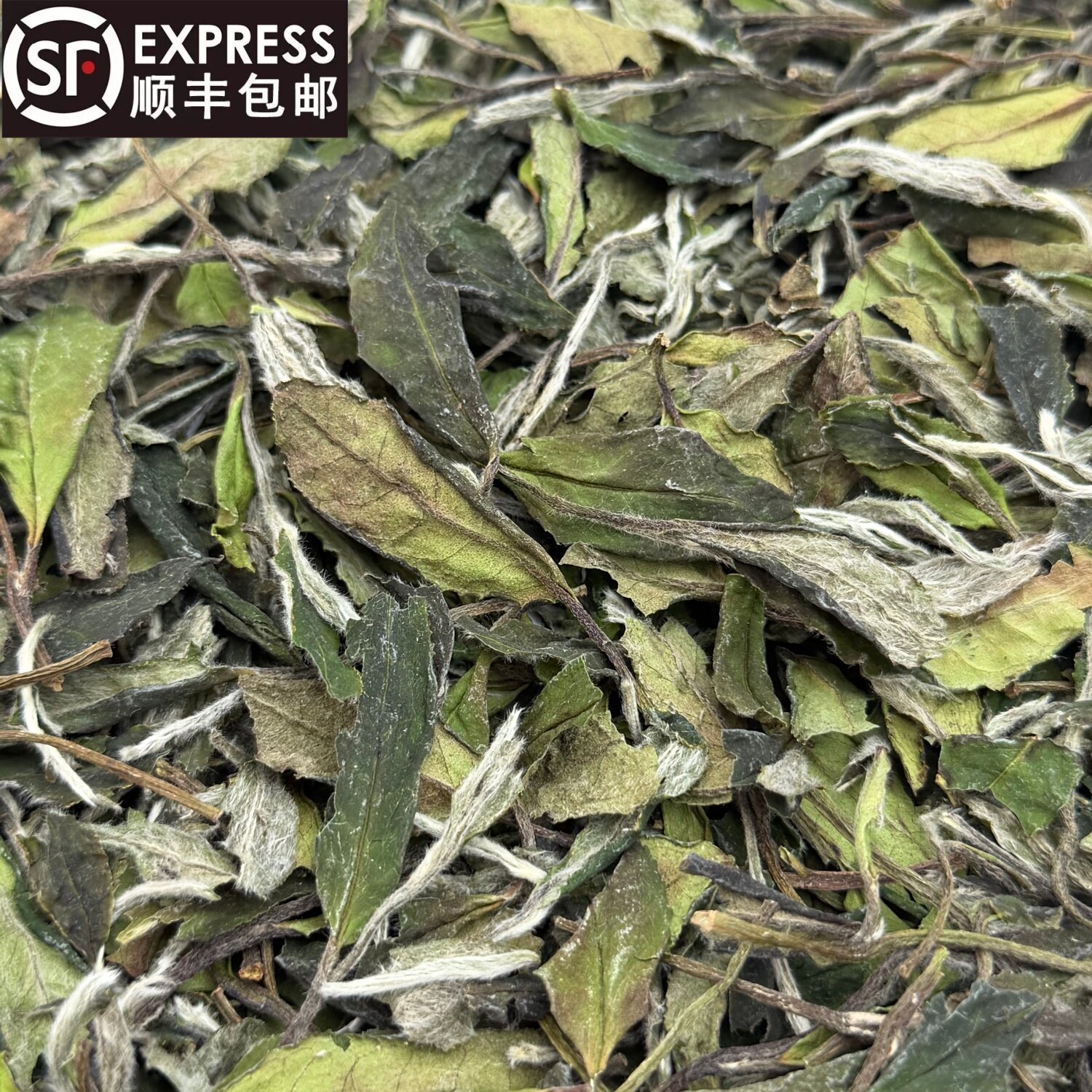 磻溪荒野老树寿眉-磻溪荒野老树寿眉促销价格、磻溪荒野老树寿眉品牌- 淘宝
