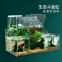 Ecological betta fish tank small breeding and hatching isolation box free water change desktop acrylic ecological creative professional row tank
