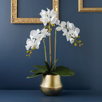 ladylike feel Phalaenopsis simulation flower ornaments fake flower Golden vase Nordic modern living room decorative flower