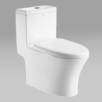 FB16139 ordinary toilet