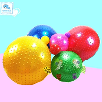 Thickened explosion-proof pellet ball childrens sensory training fitness ball yoga ball big dragon ball massage ball tactile peanut ball