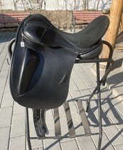 English native 17 5  dance steps saddle