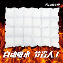 Aviation ice bag express special freezing repeated use of seafood Cherry fresh-keeping refrigerated medicine self-absorption 24