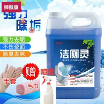 10 Jin big bucket toilet cleaning super large strong toilet toilet King toilet toilet cleaning agent large bucket washing side toilet cleaning toilet liquid
