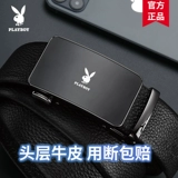 Playboy, ремень, кожаные штаны, из натуральной кожи, коллекция 2023