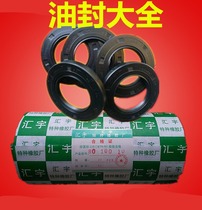 Skeleton oil seal 100x130x12 100x130x13 100x140x14 105x130x12 110x130