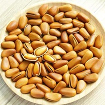 250g Xinjiang shell pine nuts