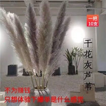 New product Net Red big Reed Pu Reed dried flower bouquet desktop ornaments shooting props Flower arrangement pastoral decoration forever flower