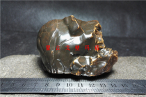 Natural Alashan Gobi agate Gobi Stone wind gravel old skin desert paint fine strange stone original stone hand play Stone A