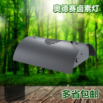 Odyssey koi fish tank gold halogen lamp water straw tank halogen lamp aquarium gold halogen lamp burrowing algae lamp seawater metal halogen lamp