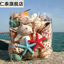 Natural shell conch sea star coral home furnishings fish tank aquarium platform landscaping childrens toys small gifts