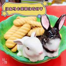 (Rabbit Forest) Japanese Marca Snacks Hamster Rabbit Sweet Potato Purple Potato Vegetable Cookies Deodorant Biscuits 85g
