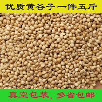 Fresh selection of yellow millet with Shell millet tiger skin peony Xuanfeng small and medium-sized parrot bird grain 5kg