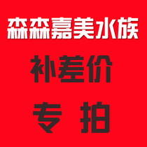 (Sen Sen Jiamei Aquarium)Difference postage special auction link(make up how many yuan to shoot how many pieces)