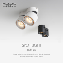 Newell led surface mounted downlight Minimalist spot light Corridor light No main light Living room bedroom ceiling double head downlight