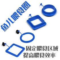 Aquarium grass tank aquarium aquatic grass fish suspension feeding circle dispenser floating feeding Circle Square feed fixed point