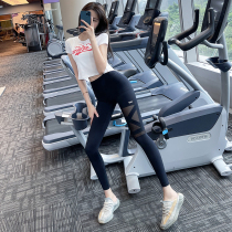 Fitness Girl Tight Height Waist Sexy Net Yarn Yoga Pants Elastic Honey Peach Hip Running Outside Wearing Sport Long Pants Summer