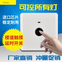 Type 86 concealed delayed touch smart sensor light delayed LED light property corridor staircase aisle touch switch