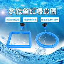 Feeder fish suspension small non-large anti-drift feeding fish food feed floating fish tank special feeding ring
