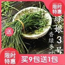 The bridesmaids 3 21 years TiMoses grass rabbit guinea pig Timothy Moshe dry grass fragrant green Doganti 500g boxed