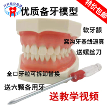 Oral Dental Teeth Model Preparation Tooth Practice Soft Gum Tooth Mold Removable Replacement Emulation Resin Off-body Tooth
