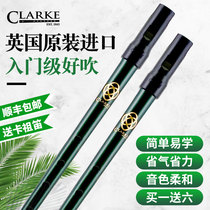 UK Clarke Clarke Celtic Tin flute D-tune flute Irish harp Whistle flute Straight flute instrument