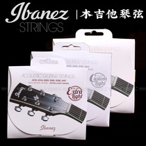 Ibanez Ibanez Ibanez IACS61C Folk Guitar Strings Coated Bronze Wrap Accessories Set