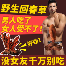 Huichuangrass wild Dingtianzhu male wine nourishing Cynomorium Yunnan spp. Cistanche Chinese herbal medicine 500g