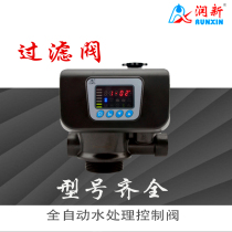 Automatic filter valve time type flow type control valve multi-channel industrial water treatment controller sand carbon tank Runxin