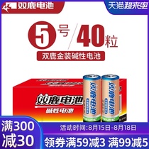 Shuanglu gold No 5 alkaline battery No 5 childrens toy battery wholesale can be fully replaced No 7 No 7 dry battery 40 remote control mouse Air conditioning TV microphone hanging alarm clock 1 5V battery