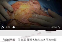 Wang Zhijuns facial structure and various levels of high-definition cosmetic plastic teaching Video