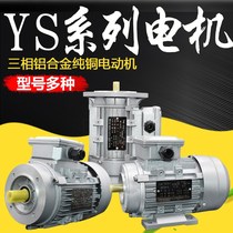 YS motor 2800 rpm 380v vertical B5 B14 horizontal 34 aluminum 180 250 370 550 750w