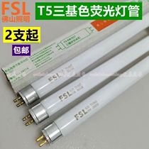 FSL Foshan lighting T5 fluorescent tube 8W14W21W28W three primary color fluorescent tube warm yellow white light source