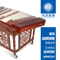 Beijing Xinghai Yangqin 8622M professional rosewood carving Dragon 402 Yangqin performance level Yangqin performance Yang