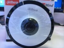 Dahua English Version Overseas Edition IPC-EW5541-AS Network Camera 5MP English Spot