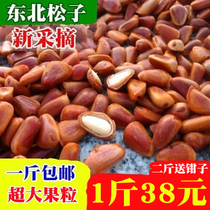 2021 Northeast Changbai Mountain unprocessed raw and mature red pine nuts wild pine seeds pregnant women nuts