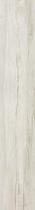 Roman Leo longleaf pine (silver gray) C1220J236