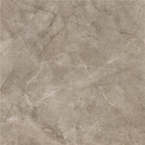 Roman Leo tile C88J537P Ankara stone