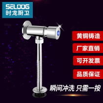  Shilong bathroom full copper body delay flushing valve Hand press self-closing flushing valve urinal flusher 015