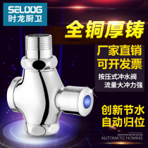 Time Dragon toilet toilet toilet urinal delayed flush valve squatting toilet flush valve hand press type self-closing switch