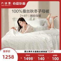 The Taihu Snow Circle can be 100% silk quilted by a thickened warm and warm quilt by the core mother to be net-heavy 2 4 catties