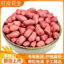 2021 new red skin peanut rice 500g Edible four red farm self-produced original small red peanut kernels