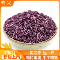 Yunnan Mojiang purple rice authentic old variety purple glutinous rice 500g farm blood glutinous rice Black glutinous rice new rice