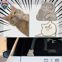 Car sticker rear windshield pet cat car wheel eyebrow car sticker electric car motorcycle waterproof sunscreen sticker