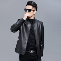 Haining autumn new leather leather mens thin collar head cowhide jacket short slim casual leather jacket
