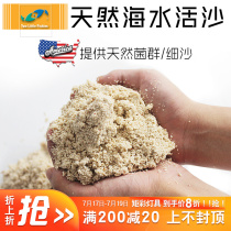 Two small fish Live sand Fine sand Coarse sand with natural flora Fish tank sand Leave-in sea tank bottom sand Bottom sand Coral sand