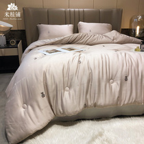 Antibacterial soybeans spring and autumn by high-end hotels household four seasons of general fluffy core core winter by ultra-soft double quilt