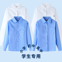 Male and female child white shirt long sleeve pure cotton Children junior high school blue shirt spring autumn purple lace elementary school uniform