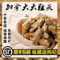 Canada authentic imported American Ginseng 500 slices Premium grain head whole branch American Ginseng American original Tong Ren Tang